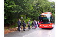  -  Vom 15. Mai bis 31. Oktober bringen die Igelbusse Wanderer zu vielen Zielen im Nationalpark. Hier an der Haltestelle Waldhausreibe, dem Start- und Zielpunkt von Wandertouren zum Lusen. (Foto: Wibmer, Landratsamt Regen)