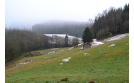  - Landschaftsschutzgebiet Leite, Foto: Landratsamt Regen