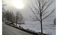  - Allee bei Grünbichl, Foto: Landratsamt Regen