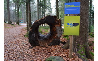  - Kinderwanderweg, Foto: Landratsamt Regen