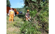  - Feuerbrand an Weißdorn, li. Artmann Josef, re. Grimm Franz, Straßenmeisterei Zwiesel