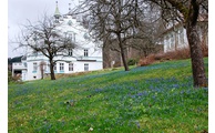  - Schlossgarten Buchenau, Foto: Landratsamt Regen