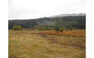  - Stockauwiesen, Foto: Landratsamt Regen