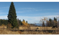  - Oberbreitenau, Foto: Landratsamt Regen