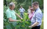  - Georg Jungwirth erklärte Landrat Michael Adam und den anderen Teilnehmern wie die Pflanze bekämpft werden kann. Foto: Langer, Landratsamt