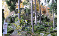  - Schichtgestein bei Igleinsberg, Foto: Landratsamt Regen