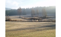  - Stockwiesen bei Schollenried, Foto: Landratsamt Regen