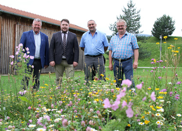  - Sie überzeugten sich von der Blütenpracht des Blumenwiesenstreifens am Kurpark Bischofsmais: Bürgermeister Walter Nirschl, Landrat Michael Adam, Imker Franz Rothkopf und Kreisobmann Roland Graf. Foto: Langer/Landkreis Regen