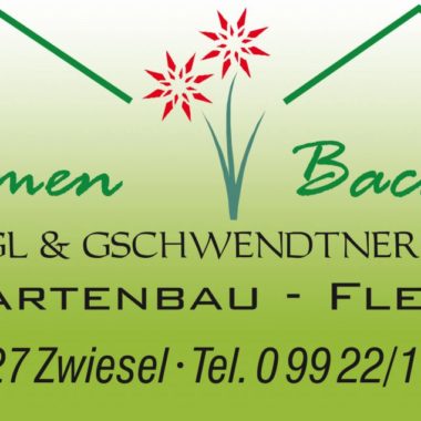 Logo von Bachhube