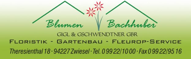 Logo von Bachhube