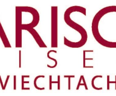 Logo Friseur Larisch