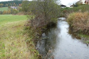 Wolfertsrieder Bach, Foto: Landkreis Regen