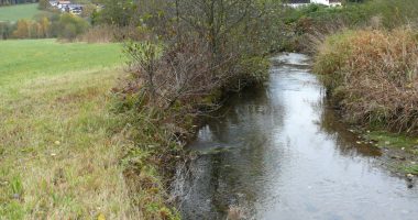 Wolfertsrieder Bach, Foto: Landkreis Regen
