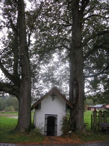 Linden bei Gescheidbühl. Foto: Landkreis Regen