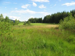 Bachlerner Moos, Foto: Landkreis Regen