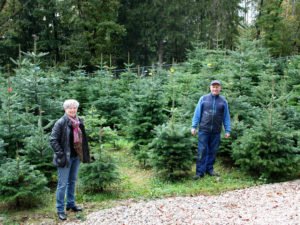 Landrätin Rita Röhrl machte sich ein Bild vor Ort und besuchte Christian Achatz in der Christbaumplantage. Foto: Langer/Landkreis Regen