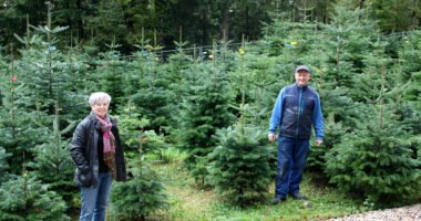 Landrätin Rita Röhrl machte sich ein Bild vor Ort und besuchte Christian Achatz in der Christbaumplantage. Foto: Langer/Landkreis Regen