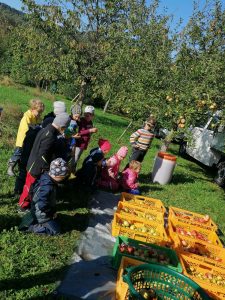 Die staunenden Kinder vor den Obstkisten. Fotos: Maria Ottl/Kindergarten Patersdorf