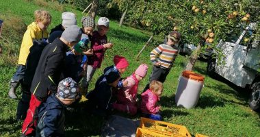 Die staunenden Kinder vor den Obstkisten. Fotos: Maria Ottl/Kindergarten Patersdorf