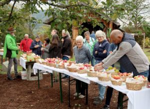 Die Besucher nutzten die Gelegenheit die verschiedensten Obstsorten kennenzulernen. Foto: Martin Straub/Landratsamt Regen