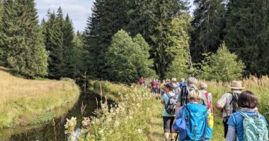 Der letztjährige Arberland-Wanderstammtisch auf dem Flusswanderweg. Foto: Johann Wenzl / Landratsamt Regen  