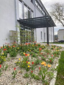 Derzeit steht das Beet in voller Blüte. Foto: Martin Straub / Landkreis Regen