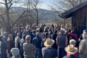 An den Weinreben im Kreislehrgarten demonstrierte Straub den Schnitt von Weinreben. Foto: Linda Stobbe