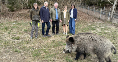 Keine Angst vor großen Tieren, Hundetrainerin Elke Pfeiffer, Landrat Dr. Ronny Raith, Bischofsmais´ Bürgermeister Walter Nirschl, Gattermeisterin Karin Weigerstorfer und Wirtschaftsförderin Teresa Sitzberger mit Sau Sophie. Foto: Heiko Langer / Landratsamt Regen