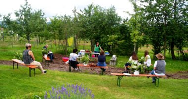 Im Kreislehrgarten bei Patersdorf ist reichlich Platz für Pflanzen und Besucher. Hier finden regelmäßig Kurse statt zum fachgerechten Obstbaumschnitt und zur Verwendung und Verarbeitung von Kräutern und Beeren. Foto: Eder/Landkreis Regen