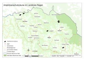 An den mit Fröschen markierten Stellen befinden sich derzeit Amphibienzäune. Grafik: Kronschnabl/Naturpark Bayerischer Wald