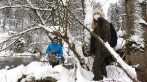 Martin Graf und Carina Kronschnabl beim Ausbringen eines Nistkastens. Foto: Samantha Biebl/Naturpark Bayerischer Wald