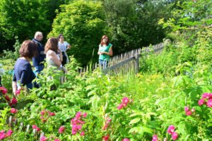 Schon beim Blick übern Gartenzaun entdeckt man im Bauerngarten viel Essbares: Neben den Gemüsepflanzen wachsen dort auch Rosen, Himbeeren, Johanniskraut, Origanum, sowie auch zum Verzehr geeignete Wildkräuter wie Vogelmiere, Franzosenkraut, Brennessel und Giersch. Ganz rechts die Kräuterpädagogin Elisabeth Hof. Foto: Eder/Landkreis Regen