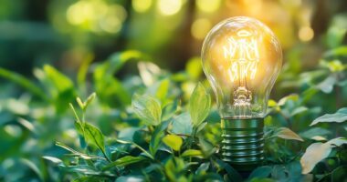 Gluehbirne-Umwelt-Natur-AdobeStock_1026399363-©Thanaseth.jpeg