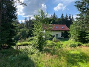 Auf einer Waldlichtung befindet sich das Anwesen von Kirsten Loesch, das ein natürliches Umfeld mit Wiesen, Wasserstellen und ein großer Gemüse- und Kräutergarten umgibt. Foto: Klaus Eder/Landkreis Regen