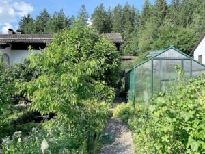 Links der Obstgarten und rechts Gemüse, Beeren und Kräuter. Lydia Bauer nutzt sämtliche Pflanzen auch in der Küche. Foto: Eder/Landkreis Regen