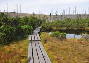 KEW - Energie - Nachhaltiger Tourismus © Canva