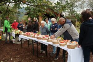Alle Jahre wieder, aber immer sehr beliebt: Die Obstsortenausstellung im Kreislehrgarten in Patersdorf. Foto: Martin Straub / Landratsamt Regen