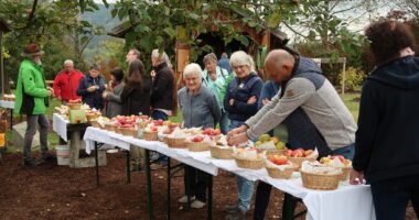 Alle Jahre wieder, aber immer sehr beliebt: Die Obstsortenausstellung im Kreislehrgarten in Patersdorf. Foto: Martin Straub / Landratsamt Regen