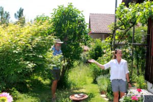 Auf schmalen Rasenwegen führt Verena Quappig durch den sonnigen Gartenbereich mit vielfältiger Bepflanzung. Foto: Langer/Landkreis Regen  