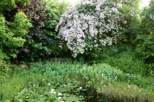 Auf schmalen Rasenwegen führt Verena Quappig durch den sonnigen Gartenbereich mit vielfältiger Bepflanzung. Foto: Langer/Landkreis Regen  