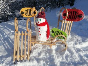 Schlittenfahren Foto: Möll Landkreis Regen