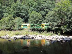 Mit dem Bayerwald-Ticket lässt sich prima die Region erkunden. Die Waldbahn, wie hier am Flusswanderweg bei Teisnach, und viele Busse sorgen für das Reisevergnügen beim Urlaub daheim. Foto: Wibmer