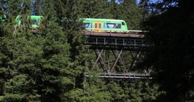 Mit der Waldbahn unterwegs in Bayern und Böhmen. Foto: Kreisentwicklung Landkreis Regen