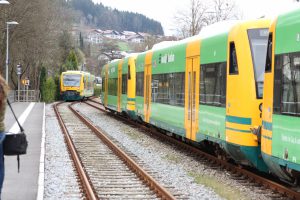 Waldbahn in Teisnach. Foto: Landkreis Regen, Langer
