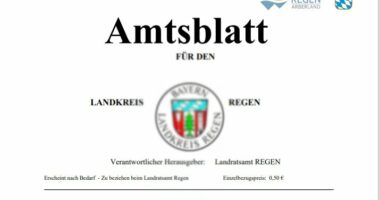 Amtsblatt 35/2020