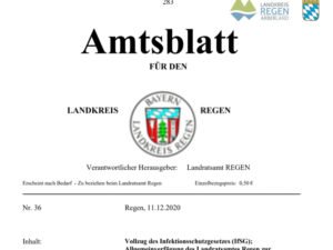 Amtsblatt 36/2020