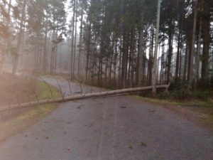 Baum über Straße, das wurde am Montag, 10. Februar, mehr als 100 Mal gemeldet. Foto: Langer/Landkreis Regen