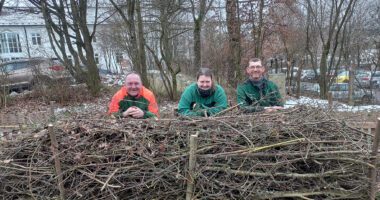 Die Landkreisgärtner erfreuen sich an ihrer Arbeit, einer neuen Benjeshecke, v.li. Michael Hartl, Nadine Ludwig und Bernhard Drexler. Foto: Martin Straub/Landratsamt Regen