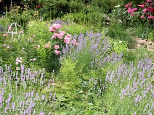Ein Garten ist nicht automatisch schön, damit er so prächtig wird, muss man viel tun. Was getan werden muss, das zeigen die Gartenbauvereine in Seminaren. Foto: Archiv Langer/Landkreis Regen