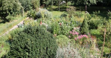 Ein Blick von der Terrasse des Pfarrers, so schön ist der Pfarrgarten. Foto: Langer/Landkreis Regen